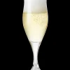 Holmegaard Idéelle Champagneglas 23 cl klar | Køb her Hot