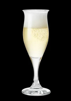 Holmegaard Idéelle Champagneglas 23 cl klar | Køb her Hot