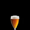 Holmegaard Ølglas 44 cl 2 stk. i klar fra serien Perfection Best