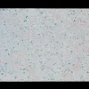 JUNA Field Dækkeserviet 43x30 cm mørk multi | Køb her New