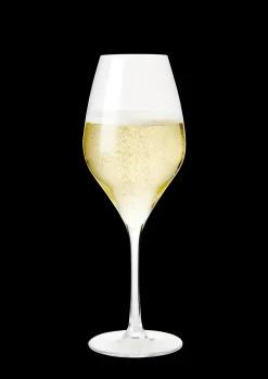 Rosendahl Premium Champagneglas 37 cl klar 2 stk. | Køb her Outlet